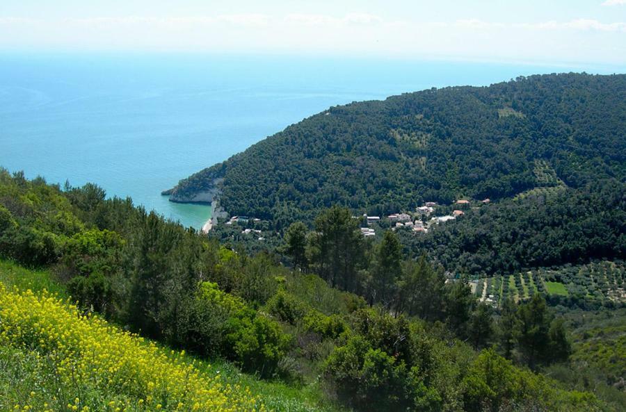 Villa Zagare Mattinata Zewnętrze zdjęcie